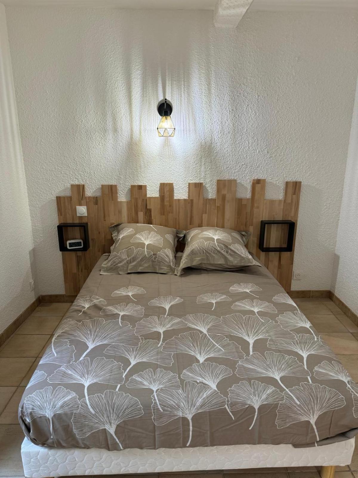 Charmant Appartement En Hypercentre De Кастелнодари Екстериор снимка